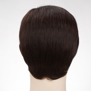 
            
                Load image into Gallery viewer, Funky Fusion | Synthetic Wig | Brown | 10 inches
            
        