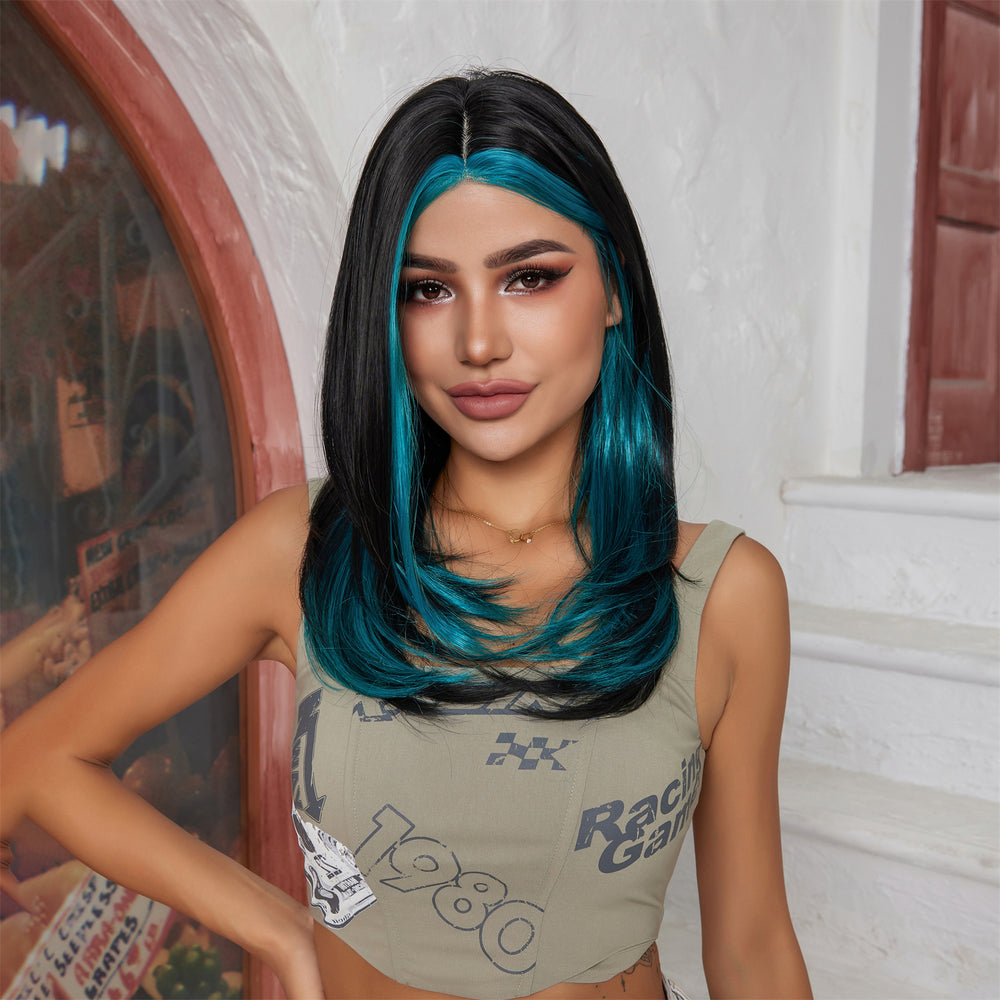 
            
                Load image into Gallery viewer, Winter Gleam | Synthetic Wig | Black | 22 inches
            
        